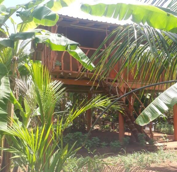 غرفة إقتصادية ثلاثية, Sigiri Aliya Tree House
