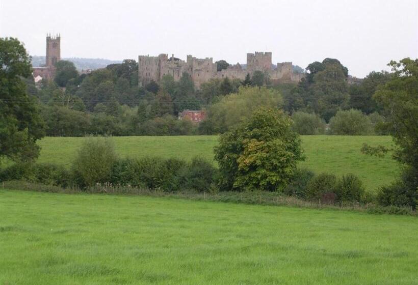 带大床的标准间, The Cliffe At Dinham