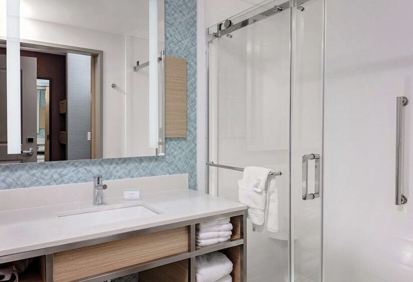 스탠다드 룸 더블 침대 2개, Hilton Garden Inn Colorado Springs Downtown