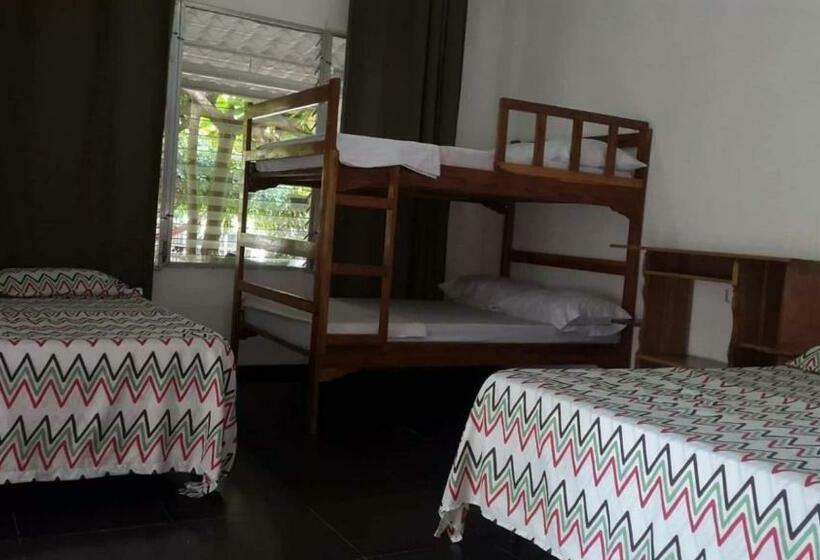 غرفة قياسية, Hostal El Balsamo