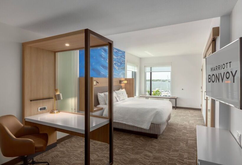 סוויטה עם נוף, Springhill Suites By Marriott Bradenton Downtown/riverfront