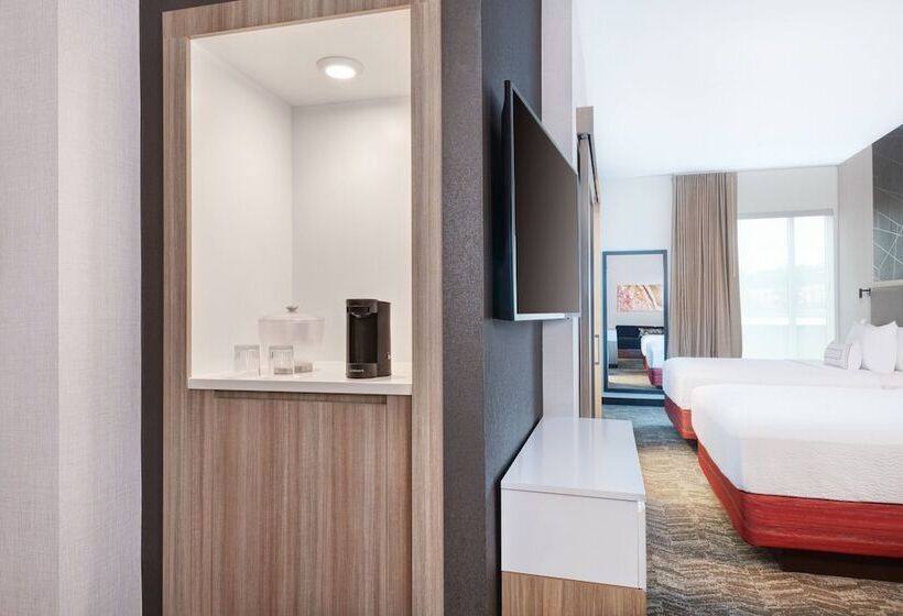 스위트, Springhill Suites By Marriott Tifton