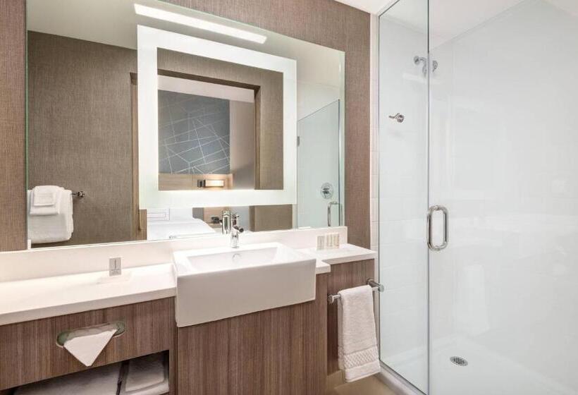 스위트, Springhill Suites By Marriott Tifton