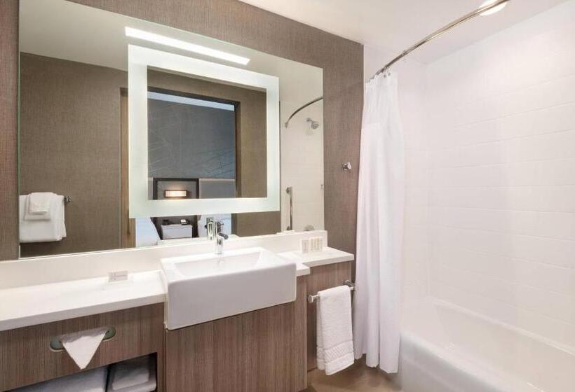 장애인을 위한 스위트, Springhill Suites By Marriott Tifton