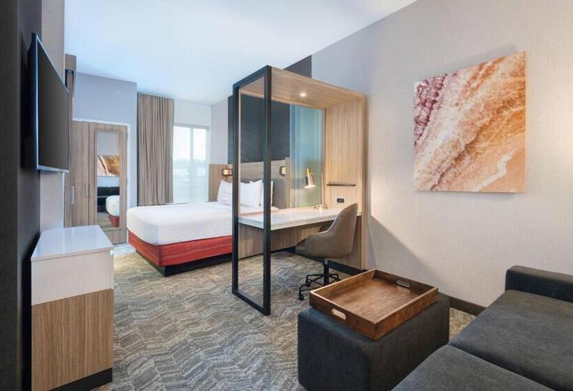 장애인을 위한 스위트, Springhill Suites By Marriott Tifton