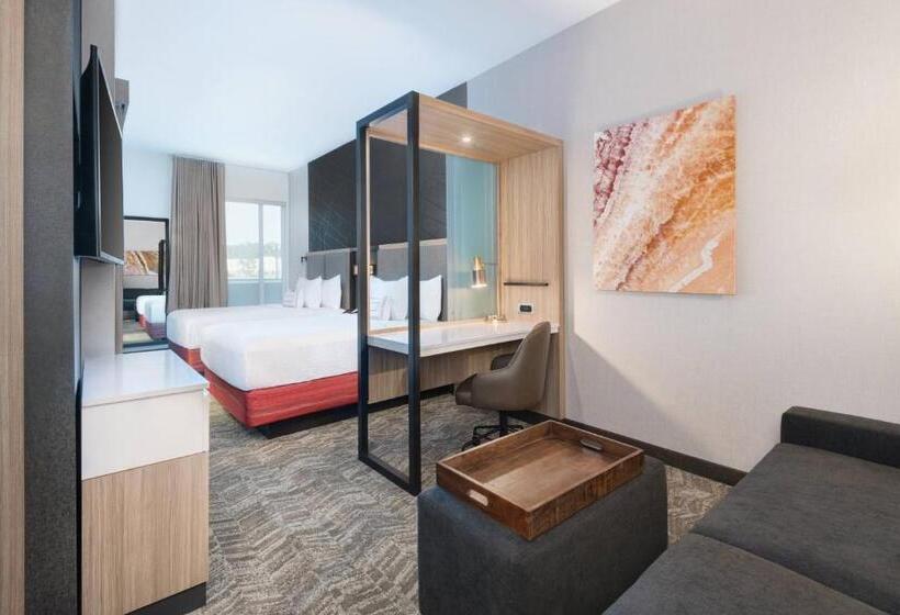 장애인을 위한 스위트, Springhill Suites By Marriott Tifton