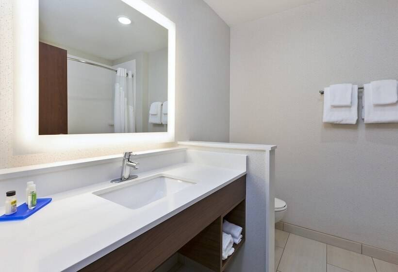 סוויטה מותאמת לאדם עם מוגבלויות, Holiday Inn Express & Suites   Painesville   Concord, An Ihg