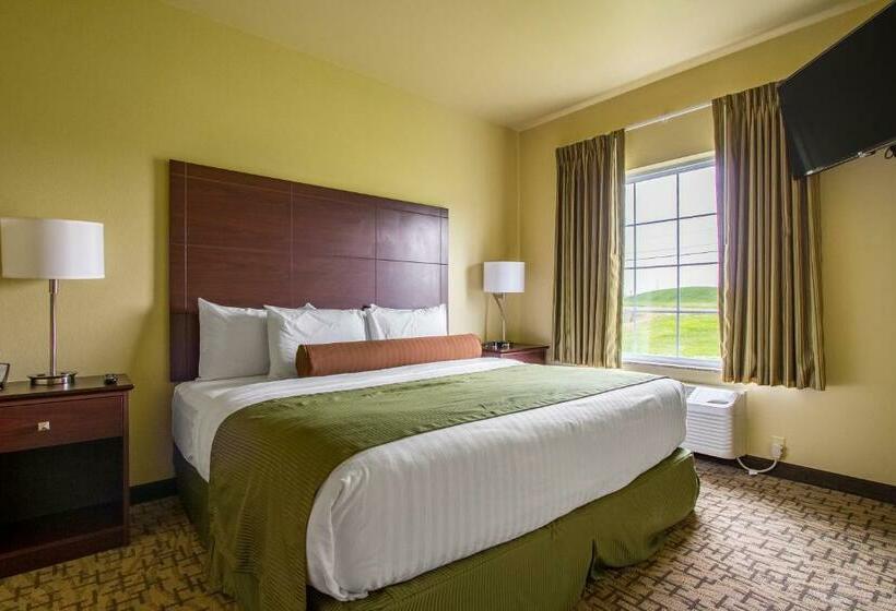 디럭스 스위트 킹 침대, Cobblestone Hotel & Suites   Orrville