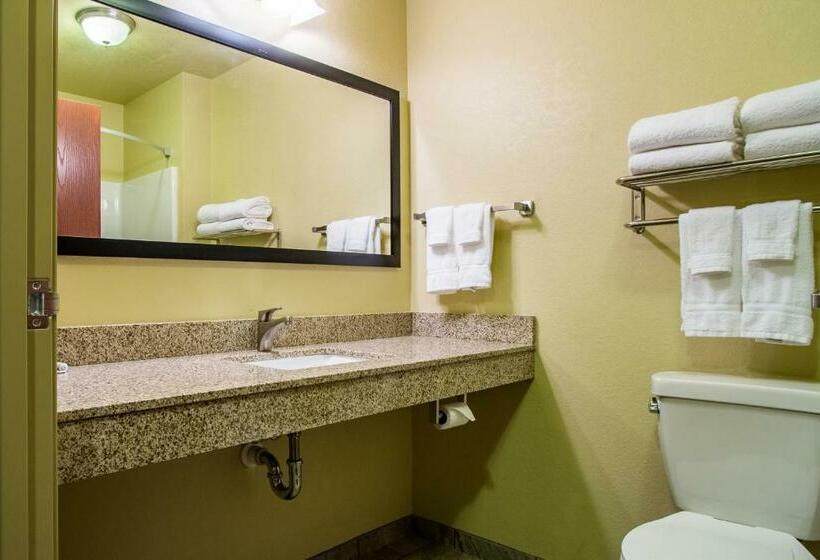 Люкс Deluxe Кровать Кинг, Cobblestone Hotel & Suites   Orrville