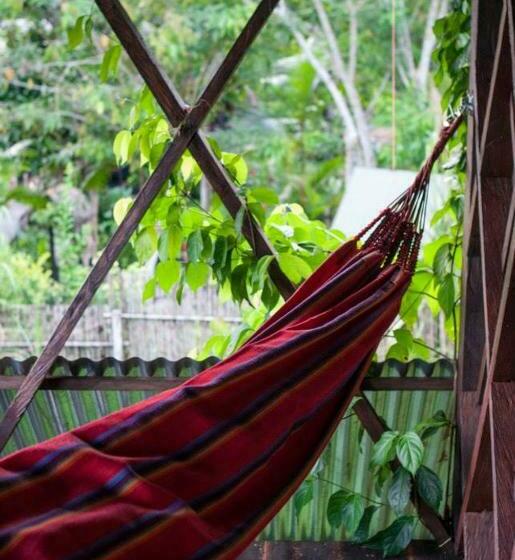 Люкс Вид на Море, Ayahuasca
