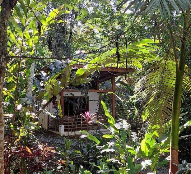 스탠다드 방갈로, Satta Lodge