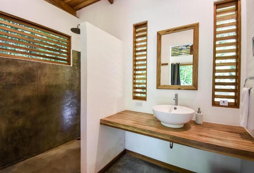 스탠다드 방갈로, Satta Lodge