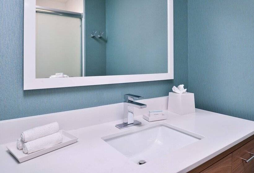 Студия Стандарт Двуспальная Кровать, Home2 Suites By Hilton Tampa Downtown Channel District