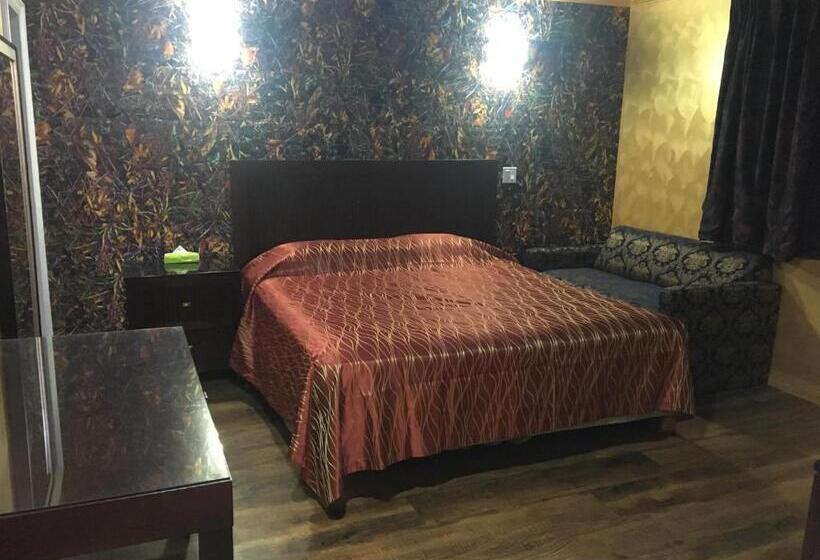 带大床的标准间, Villa Park Motel