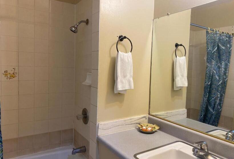 带大床的标准间, Villa Park Motel