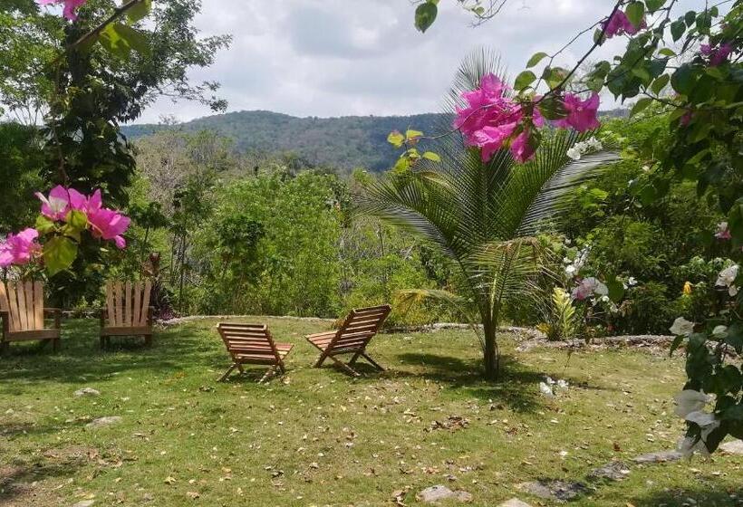 اتاق استاندارد چهارنفره با چشم‌انداز باغ, Alice Guesthouse