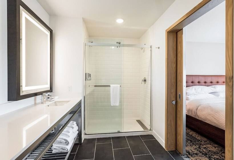 带城市景观的套间, Four Points By Sheraton Elkhart