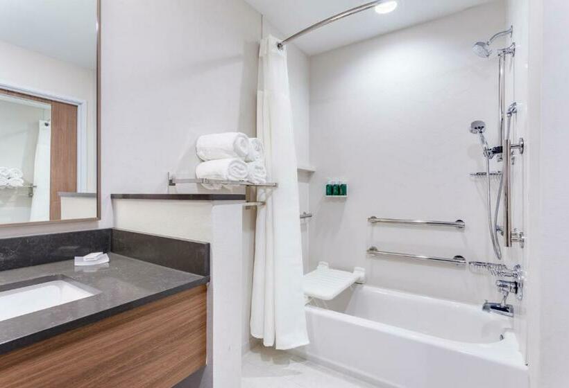 스탠다드 룸, Fairfield Inn & Suites By Marriott Jasper