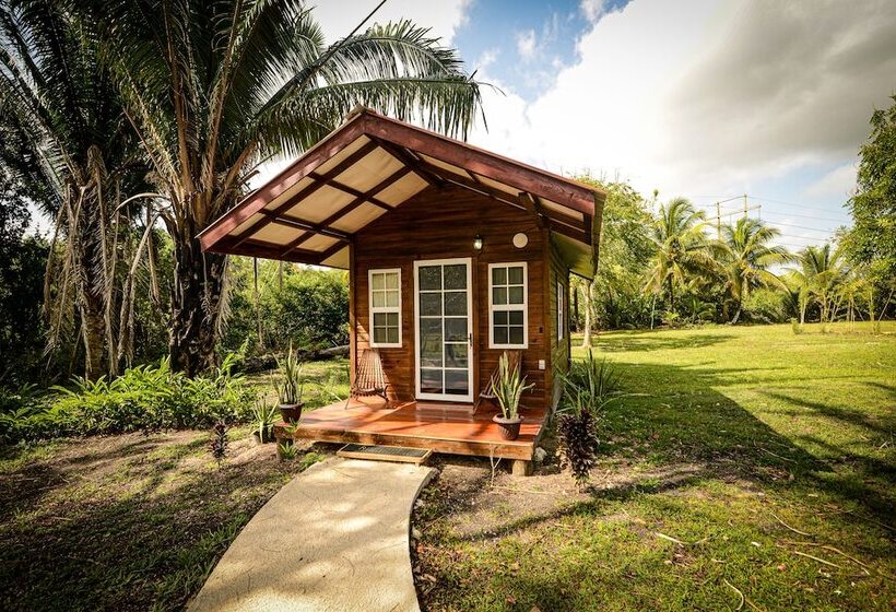 استودیوی استاندارد با تخت دوبل, Kikiwitz Resort