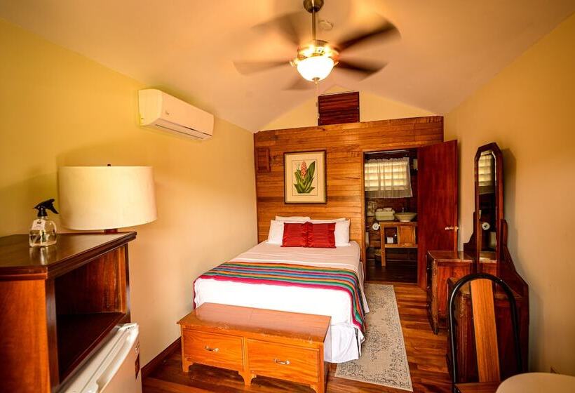 استودیوی استاندارد با تخت دوبل, Kikiwitz Resort