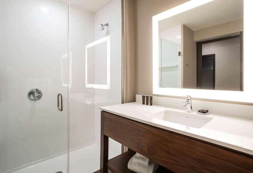 Люкс Адаптированный для Инвалидов, Wingate By Wyndham Denver Airport