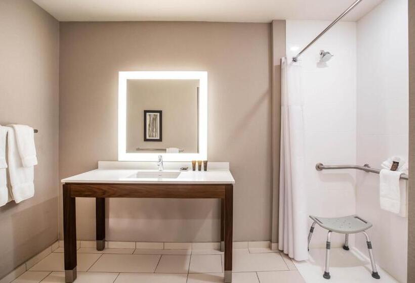 Стандартный Номер Кровать Кинг, Wingate By Wyndham Denver Airport
