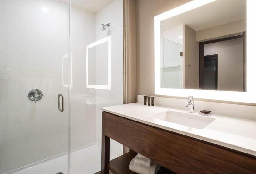 Номер Стандарт Адаптированный для Инвалидов, Wingate By Wyndham Denver Airport
