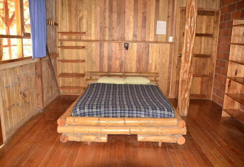 클래식 4인 룸, Hostal Pakay