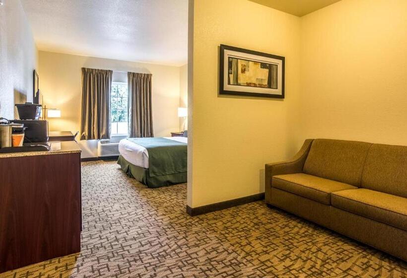 Студия Стандарт, Cobblestone Hotel & Suites   Torrington
