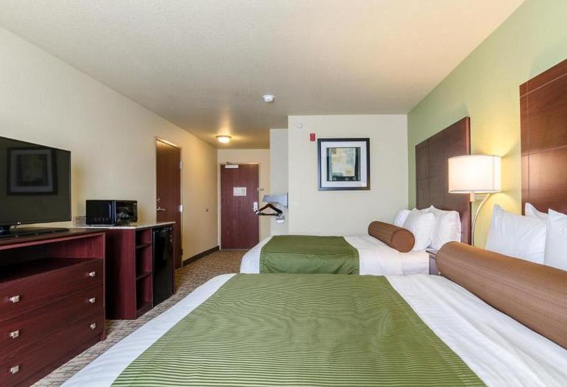 Номер Стандарт Адаптированный для Инвалидов, Cobblestone Hotel & Suites   Torrington