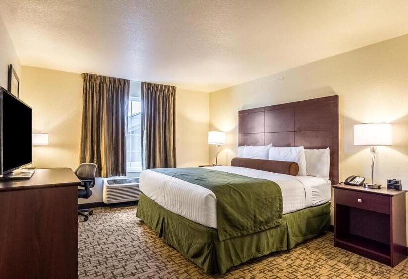 Студия Стандарт, Cobblestone Hotel & Suites   Torrington