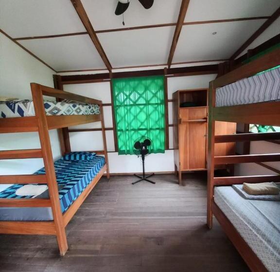 공동 객실, Pagalù Hostel