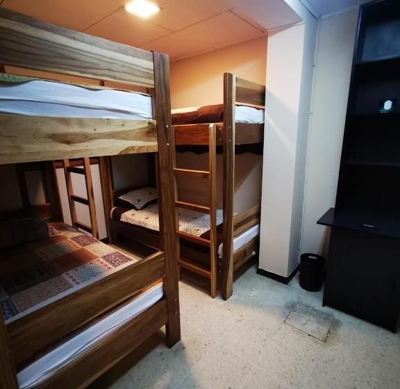 Кровать в Общей Комнате, Toucan Hostel