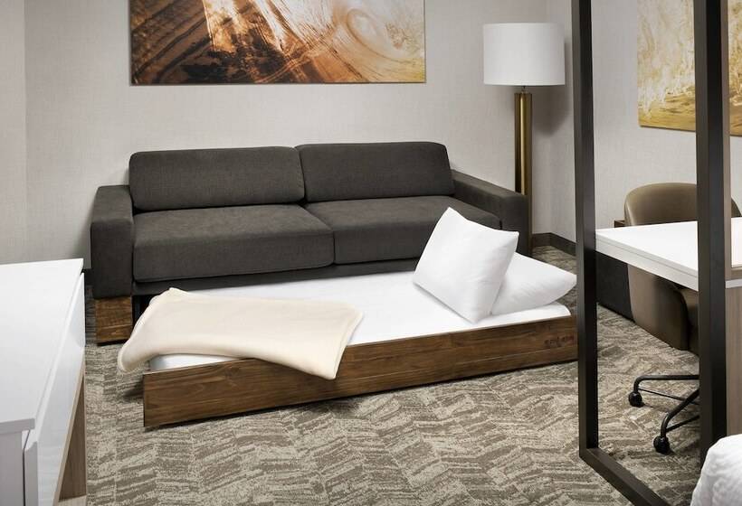 スイート, Springhill Suites By Marriott Punta Gorda Harborside