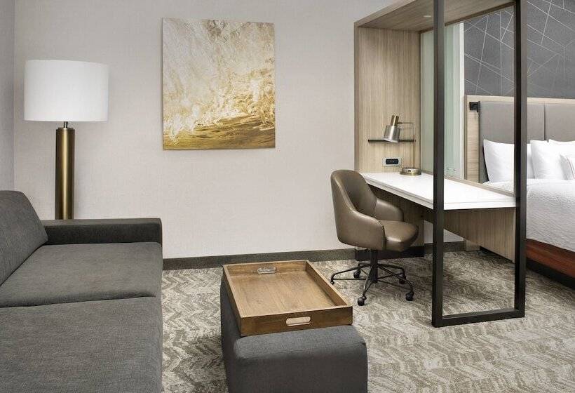 전망 스위트, Springhill Suites By Marriott Punta Gorda Harborside