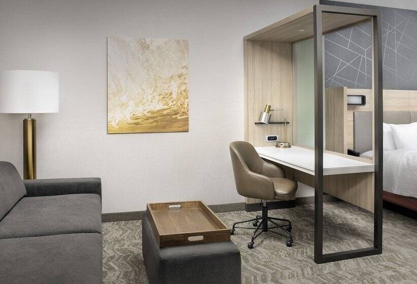 장애인을 위한 스위트, Springhill Suites By Marriott Punta Gorda Harborside