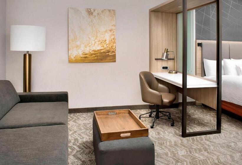전망 스위트, Springhill Suites By Marriott Punta Gorda Harborside