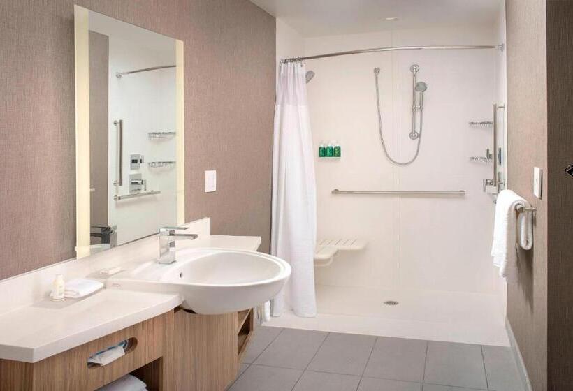 장애인을 위한 스위트, Springhill Suites By Marriott Punta Gorda Harborside