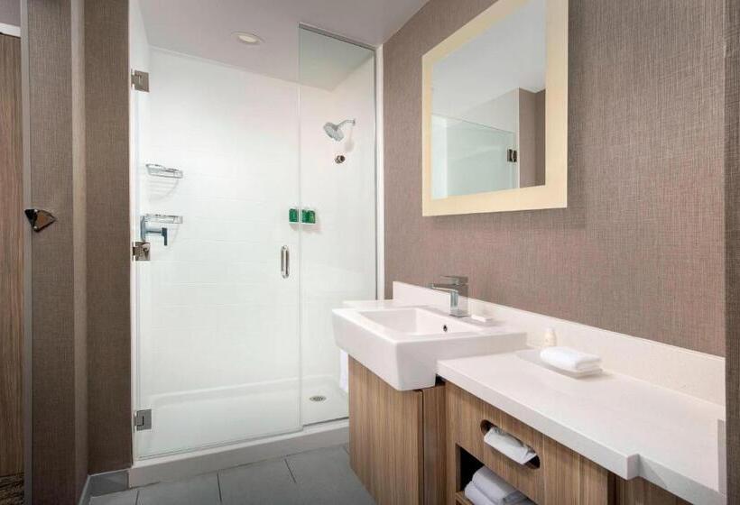 身障者適用スイートルーム, Springhill Suites By Marriott Punta Gorda Harborside