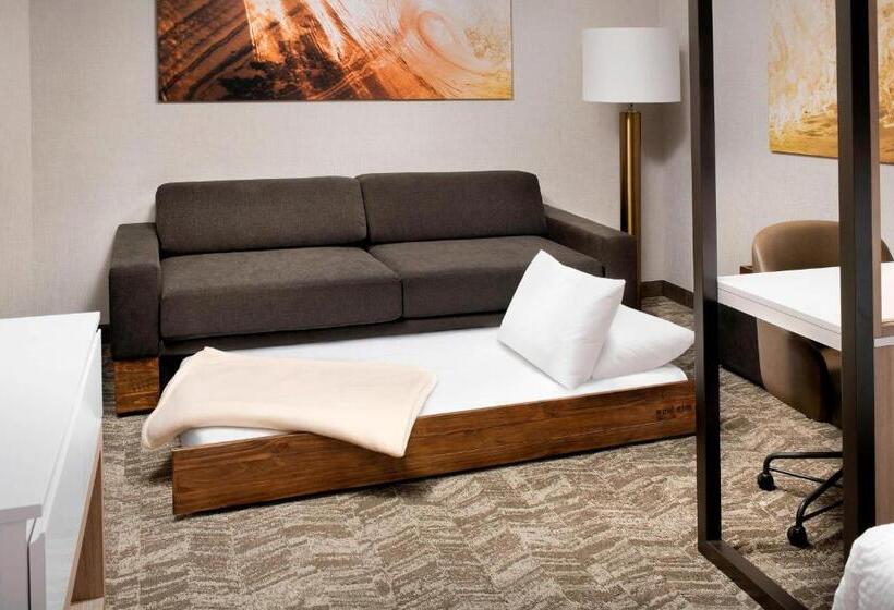 장애인을 위한 스위트, Springhill Suites By Marriott Punta Gorda Harborside
