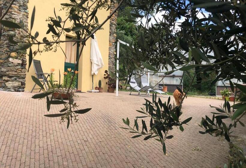 استودیوی استاندارد, Agriturismo Argentea