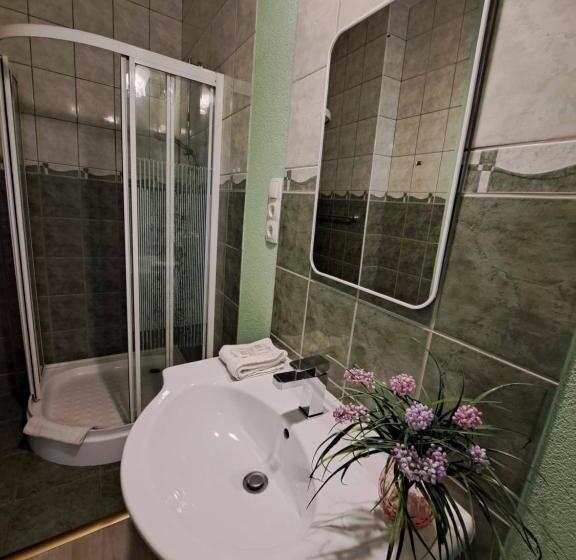 Номер Basic, Orient Apartmanház