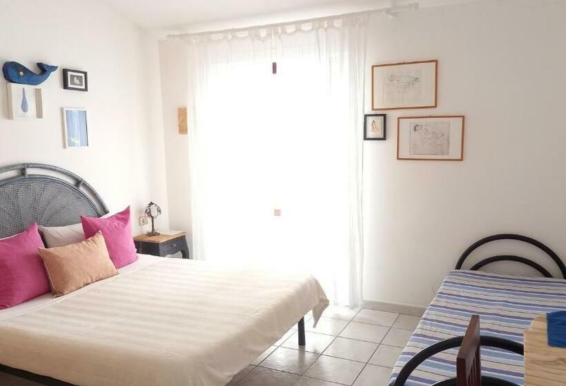 标准三人间, Carilla B&b