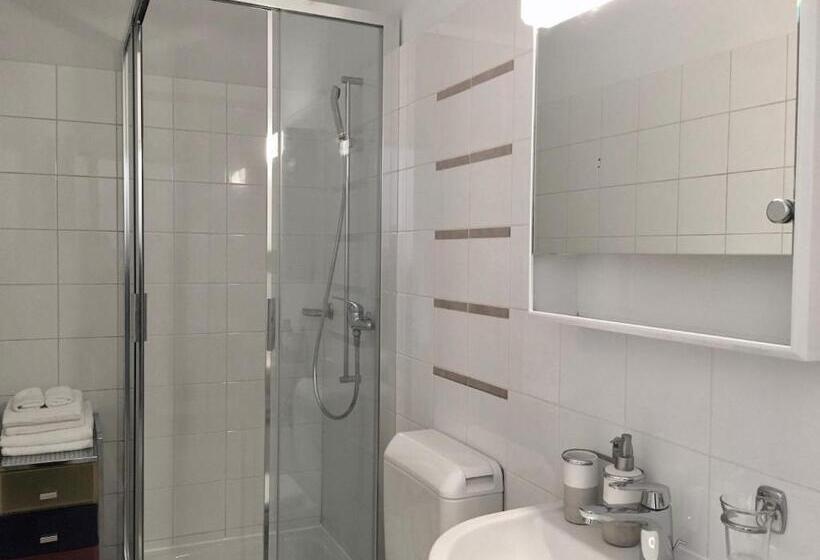 استودیوی استاندارد, Great2stay City Center Apartments Locarno