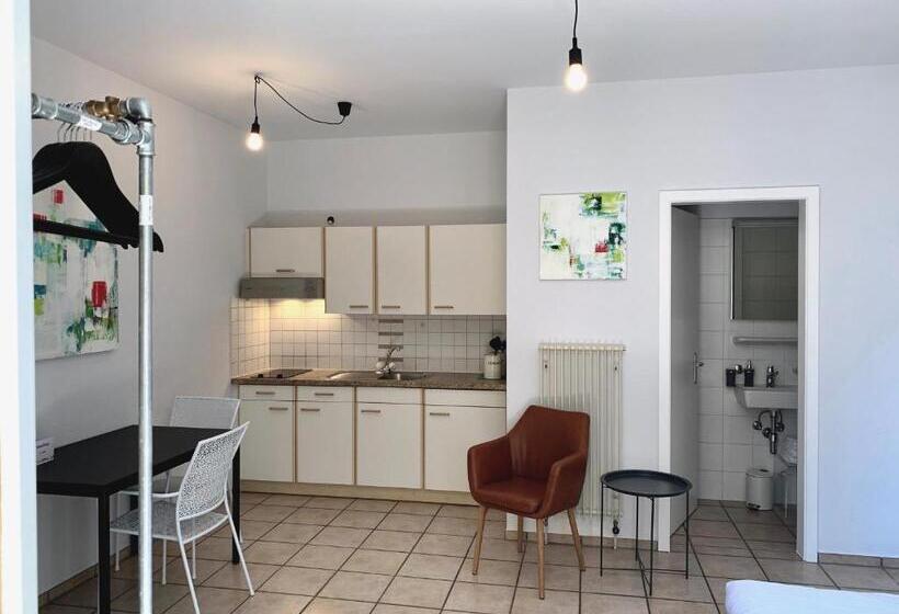 استودیو استاندارد با تراس, Great2stay City Center Apartments Locarno