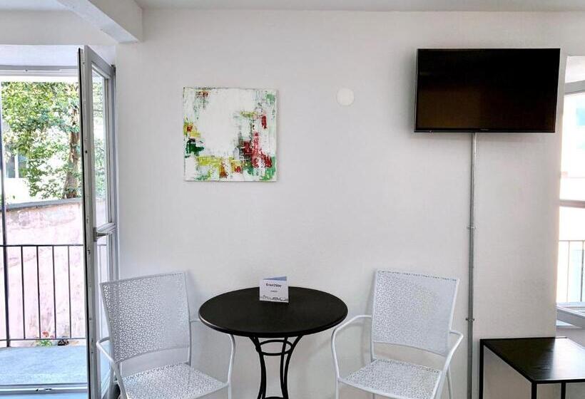 آپارتمان سوپریور 1 خوابه, Great2stay City Center Apartments Locarno