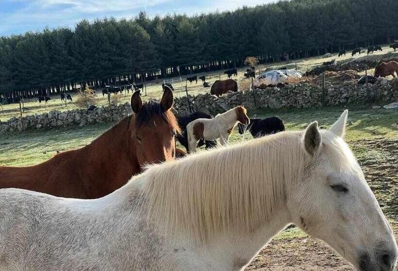 Дом 2 Спальни, El Sobrao De Gredos