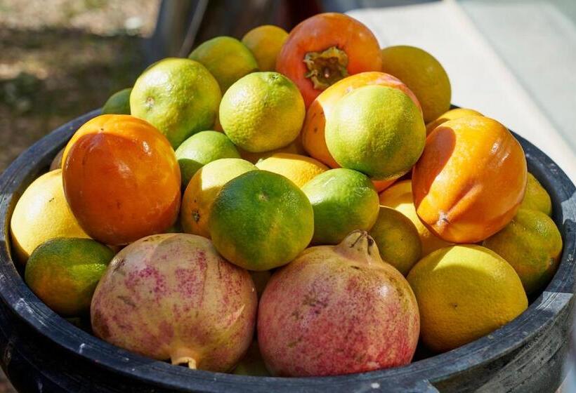 Студия Стандарт, Finca Heredad La Boquilla