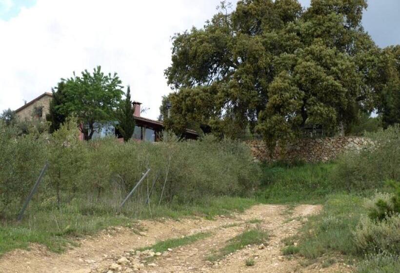 Студия Стандарт, Finca Heredad La Boquilla