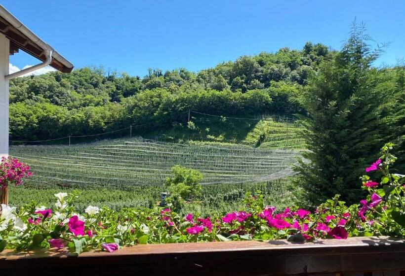 Трехместный Номер Базовый, Garni San Paolo